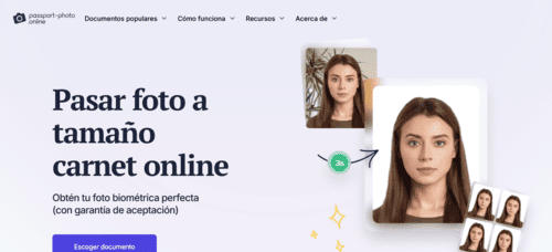 Passport-Photo.online - Inteligencia Artificial (IA) - inteligenciaartificialia.blog